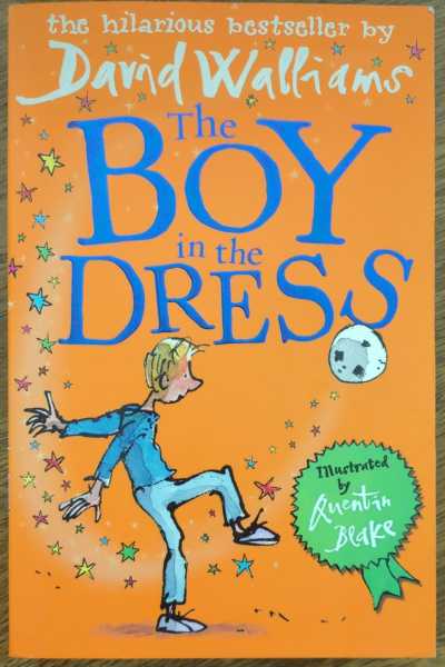 The Boy in the Dress